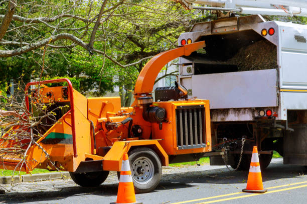 Best Tree Maintenance Programs  in Dunkirk, IN