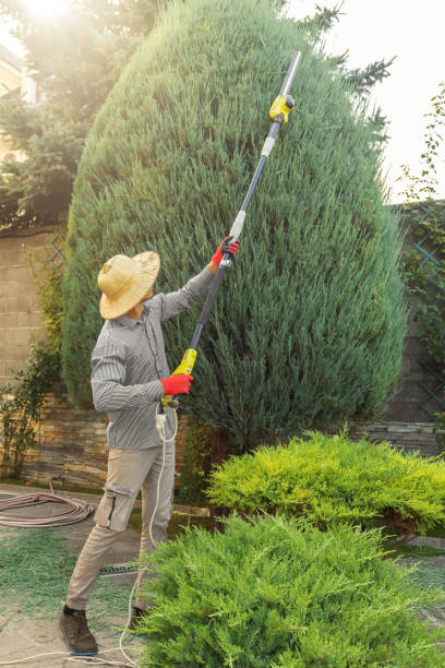 Best Storm Damage Tree Cleanup  in Dunkirk, IN